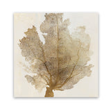 Shop Luxe Coral II (Square) Art Print-Abstract, Brown, PC, Square, View All-framed painted poster wall decor artwork