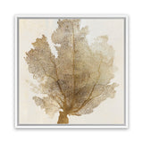 Shop Luxe Coral II (Square) Canvas Art Print-Abstract, Brown, PC, Square, View All-framed wall decor artwork