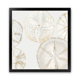 Shop Sea Patterns I (Square) Art Print-Abstract, Neutrals, PC, Square, View All-framed painted poster wall decor artwork