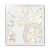 Shop Sea Patterns I (Square) Art Print-Abstract, Neutrals, PC, Square, View All-framed painted poster wall decor artwork