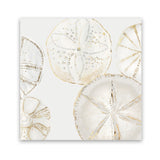 Shop Sea Patterns I (Square) Art Print-Abstract, Neutrals, PC, Square, View All-framed painted poster wall decor artwork