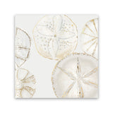 Shop Sea Patterns I (Square) Canvas Art Print-Abstract, Neutrals, PC, Square, View All-framed wall decor artwork