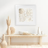 Shop Sea Patterns II (Square) Art Print-Abstract, Neutrals, PC, Square, View All-framed painted poster wall decor artwork