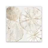 Shop Sea Patterns II (Square) Canvas Art Print-Abstract, Neutrals, PC, Square, View All-framed wall decor artwork