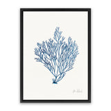 Shop Sea Garden II Royal Blue Canvas Art Print-Blue, Botanicals, Portrait, Rectangle, View All, WA, White-framed wall decor artwork
