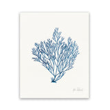 Shop Sea Garden II Royal Blue Art Print-Blue, Botanicals, Portrait, Rectangle, View All, WA, White-framed painted poster wall decor artwork