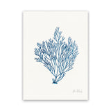 Shop Sea Garden II Royal Blue Canvas Art Print-Blue, Botanicals, Portrait, Rectangle, View All, WA, White-framed wall decor artwork