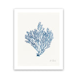Shop Sea Garden II Royal Blue Art Print-Blue, Botanicals, Portrait, Rectangle, View All, WA, White-framed painted poster wall decor artwork