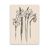 Shop Ink Sketch Daffodils Canvas Art Print-Black, Botanicals, Portrait, Rectangle, View All, WA-framed wall decor artwork