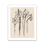Shop Ink Sketch Daffodils Art Print-Black, Botanicals, Portrait, Rectangle, View All, WA-framed painted poster wall decor artwork