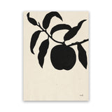 Shop Peach II Canvas Art Print-Black, Botanicals, Portrait, Rectangle, View All, WA-framed wall decor artwork
