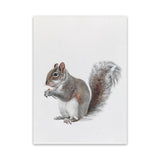 Shop Baby Squirrel Canvas Art Print-Animals, Baby Nursery, Grey, Portrait, View All-framed wall decor artwork