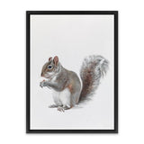 Shop Baby Squirrel Canvas Art Print-Animals, Baby Nursery, Grey, Portrait, View All-framed wall decor artwork