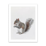 Shop Baby Squirrel Art Print-Animals, Baby Nursery, Grey, Portrait, View All-framed painted poster wall decor artwork