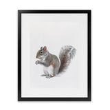 Shop Baby Squirrel Art Print-Animals, Baby Nursery, Grey, Portrait, View All-framed painted poster wall decor artwork