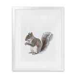 Shop Baby Squirrel Art Print-Animals, Baby Nursery, Grey, Portrait, View All-framed painted poster wall decor artwork