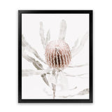 Shop Banksia I Photo Art Print-Botanicals, Florals, Hamptons, Nature, Photography, Pink, Portrait, View All-framed poster wall decor artwork
