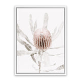 Shop Banksia I Photo Canvas Art Print-Botanicals, Florals, Hamptons, Nature, Photography, Photography Canvas Prints, Pink, Portrait, View All-framed wall decor artwork
