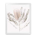 Shop Banksia III Photo Art Print-Botanicals, Florals, Hamptons, Nature, Neutrals, Photography, Pink, Portrait, View All-framed poster wall decor artwork