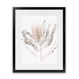 Shop Banksia III Photo Art Print-Botanicals, Florals, Hamptons, Nature, Neutrals, Photography, Pink, Portrait, View All-framed poster wall decor artwork