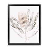 Shop Banksia III Photo Art Print-Botanicals, Florals, Hamptons, Nature, Neutrals, Photography, Pink, Portrait, View All-framed poster wall decor artwork