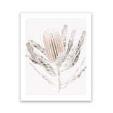 Shop Banksia III Photo Art Print-Botanicals, Florals, Hamptons, Nature, Neutrals, Photography, Pink, Portrait, View All-framed poster wall decor artwork