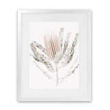 Shop Banksia III Photo Art Print-Botanicals, Florals, Hamptons, Nature, Neutrals, Photography, Pink, Portrait, View All-framed poster wall decor artwork