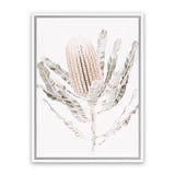 Shop Banksia III Photo Canvas Art Print-Botanicals, Florals, Hamptons, Nature, Neutrals, Photography, Photography Canvas Prints, Pink, Portrait, View All-framed wall decor artwork