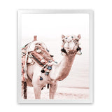 Shop Bedouin Camel I Photo Art Print-Animals, Baby Nursery, Boho, Moroccan Days, Photography, Pink, Portrait, View All-framed poster wall decor artwork