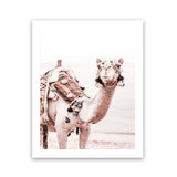 Shop Bedouin Camel I Photo Art Print-Animals, Baby Nursery, Boho, Moroccan Days, Photography, Pink, Portrait, View All-framed poster wall decor artwork