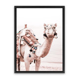 Shop Bedouin Camel I Photo Canvas Art Print-Animals, Baby Nursery, Boho, Moroccan Days, Photography, Photography Canvas Prints, Pink, Portrait, View All-framed wall decor artwork