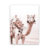 Shop Bedouin Camel I Photo Canvas Art Print-Animals, Baby Nursery, Boho, Moroccan Days, Photography, Photography Canvas Prints, Pink, Portrait, View All-framed wall decor artwork