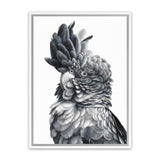 Shop Black Cockatoo Close-Up Canvas Art Print-Animals, Baby Nursery, Birds, Black, Grey, Portrait, Scandinavian, Tropical, View All, White-framed wall decor artwork