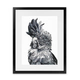 Shop Black Cockatoo Close-Up Art Print-Animals, Baby Nursery, Birds, Black, Grey, Portrait, Scandinavian, Tropical, View All, White-framed painted poster wall decor artwork