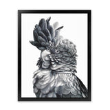 Shop Black Cockatoo Close-Up Art Print-Animals, Baby Nursery, Birds, Black, Grey, Portrait, Scandinavian, Tropical, View All, White-framed painted poster wall decor artwork