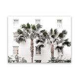 Shop Casa Palms Photo Canvas Art Print-Boho, Botanicals, Coastal, Green, Landscape, Photography, Photography Canvas Prints, Tropical, View All, White-framed wall decor artwork
