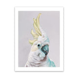 Shop Charlie The Cockatoo (Ice) Art Print-Animals, Baby Nursery, Birds, Pink, Portrait, Tropical, View All, White, Yellow-framed painted poster wall decor artwork