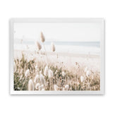 Shop Coastal Grass Photo Art Print-Boho, Botanicals, Coastal, Florals, Hamptons, Landscape, Neutrals, Photography, View All-framed poster wall decor artwork