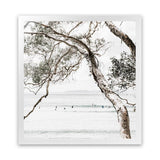 Shop Tea Tree Bay (Square) Photo Art Print-Botanicals, Coastal, Green, Hamptons, Photography, Square, Tropical, View All, White-framed poster wall decor artwork