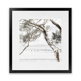 Shop Tea Tree Bay (Square) Photo Art Print-Botanicals, Coastal, Green, Hamptons, Photography, Square, Tropical, View All, White-framed poster wall decor artwork
