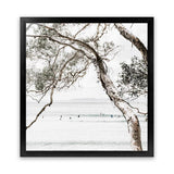 Shop Tea Tree Bay (Square) Photo Art Print-Botanicals, Coastal, Green, Hamptons, Photography, Square, Tropical, View All, White-framed poster wall decor artwork