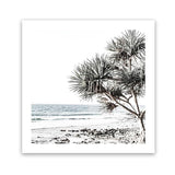 Shop Noosa I (Square) Photo Art Print-Boho, Botanicals, Coastal, Green, Photography, Square, Tropical, View All, White-framed poster wall decor artwork