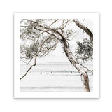 Shop Tea Tree Bay (Square) Photo Art Print-Botanicals, Coastal, Green, Hamptons, Photography, Square, Tropical, View All, White-framed poster wall decor artwork