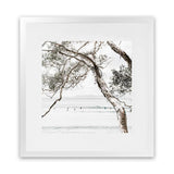 Shop Tea Tree Bay (Square) Photo Art Print-Botanicals, Coastal, Green, Hamptons, Photography, Square, Tropical, View All, White-framed poster wall decor artwork