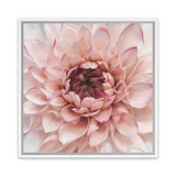 Shop Divine Dahlia (Square) Canvas Art Print-Botanicals, Florals, Hamptons, Pink, Square, View All-framed wall decor artwork