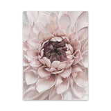 Shop Divine Dahlia II Canvas Art Print-Botanicals, Florals, Hamptons, Pink, Portrait, View All-framed wall decor artwork