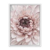 Shop Divine Dahlia II Canvas Art Print-Botanicals, Florals, Hamptons, Pink, Portrait, View All-framed wall decor artwork