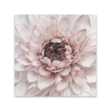 Shop Divine Dahlia II (Square) Canvas Art Print-Botanicals, Florals, Hamptons, Pink, Square, View All-framed wall decor artwork