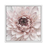 Shop Divine Dahlia II (Square) Canvas Art Print-Botanicals, Florals, Hamptons, Pink, Square, View All-framed wall decor artwork