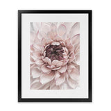 Shop Divine Dahlia II Art Print-Botanicals, Florals, Hamptons, Pink, Portrait, View All-framed painted poster wall decor artwork
